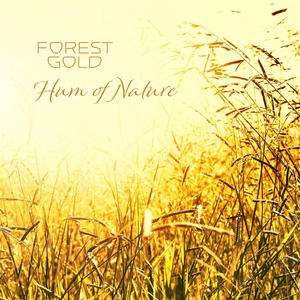 男人和女人的小黄片
