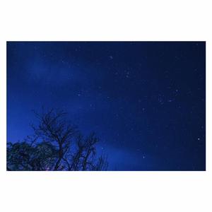 男人和女人的小黄片
