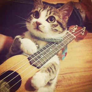 美丽姑娘高清免费观看23集预告
